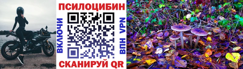 Галлюциногенные грибы прущие грибы  мега ССЫЛКА  Новохопёрск 
